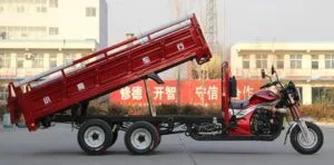 Galerie für Kurioses 5