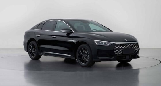 linghui neue byd marke